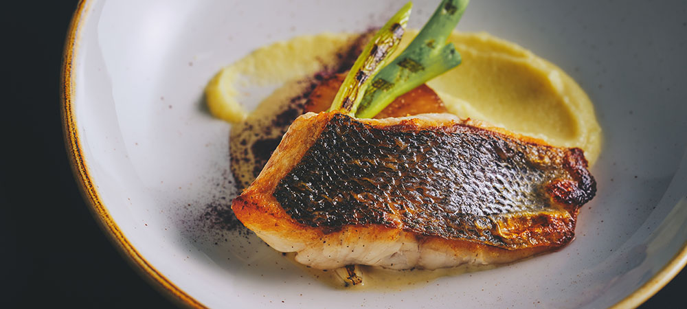 冬のフェスティブ季節のメニュー